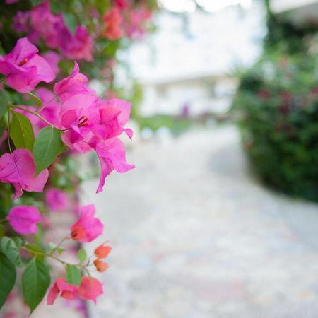 Bougainville Bay Apartments Saranda Kültér fotó