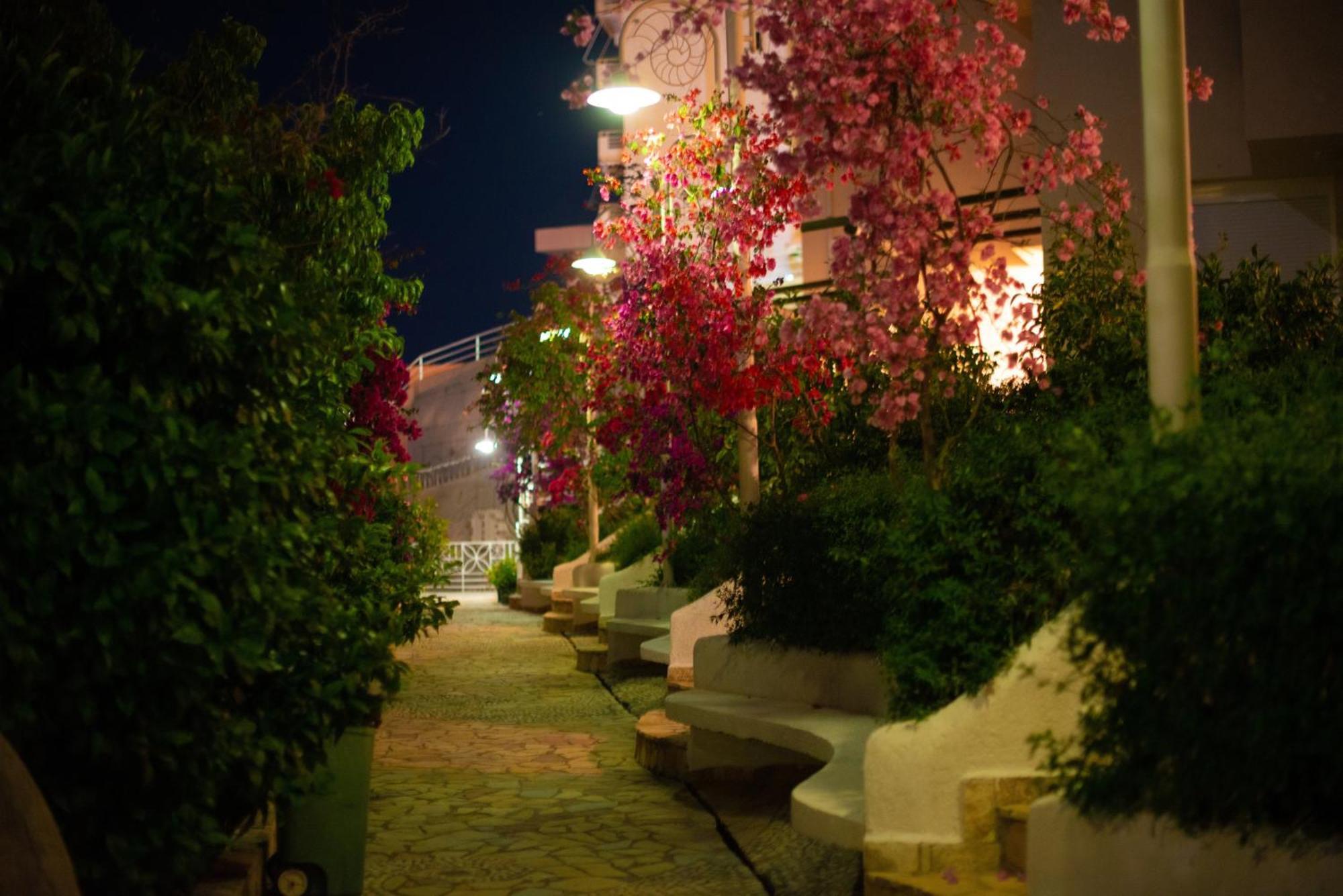 Bougainville Bay Apartments Saranda Kültér fotó